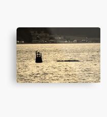 Marker Metal Print