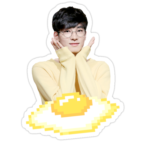 wonwoo egg seventeen stickers by ichigobunny redbubble