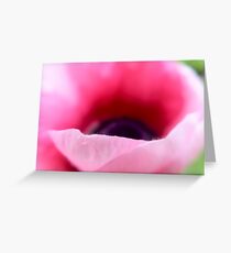 Wild Pink Poppy Greeting Card