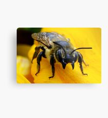 Go Ahead Make My Day Metal Print
