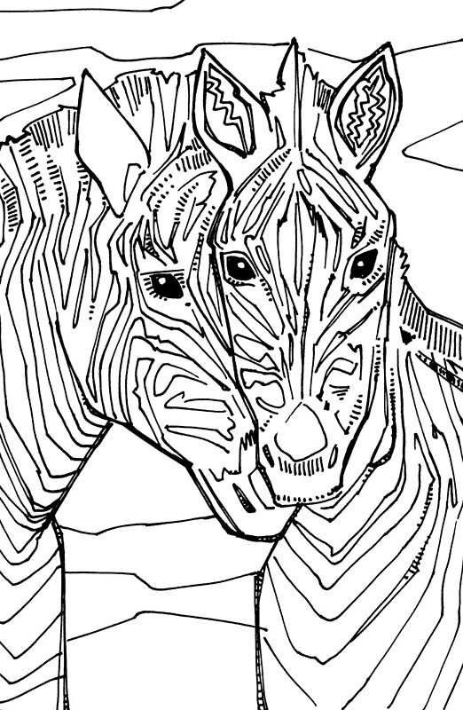 &ldquo;Zebra, Coloring Book Page&rdquo; by Gwenn Seemel | Redbubble
