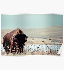 Tatanka Poster