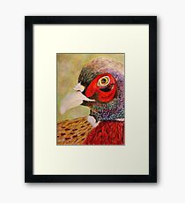 A Pheasant Portrait Framed Print