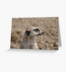 Compare the What? Greeting Card