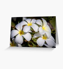 Frangipanis Greeting Card