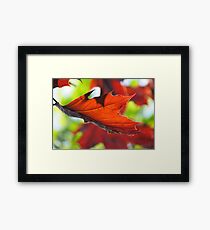 Catch me Framed Print