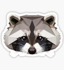 Raccoon Sticker