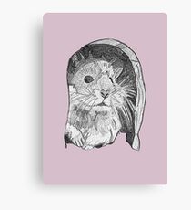 Hamster sketch Canvas Print