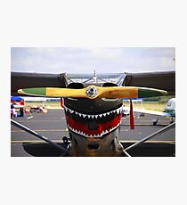 Vintage Nose Art WWII Airplane (L5 SENTINEL) Photographic Print