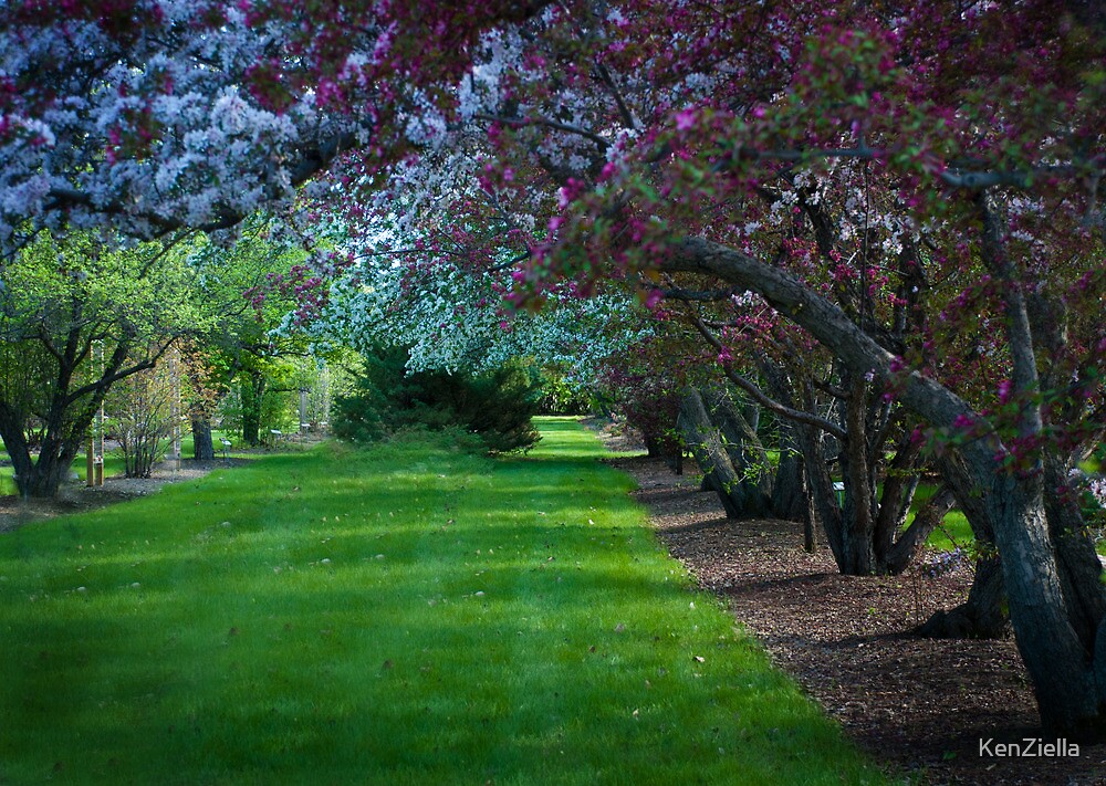 "Patterson Gardens, Saskatoon, SK. Canada" by KenZiella Redbubble