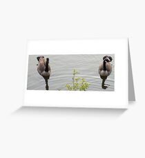 Together forever Greeting Card