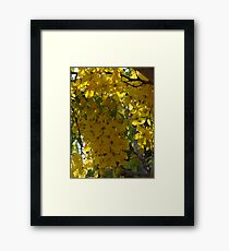 Nature's Curtain - Cortina De La Naturaleza Framed Print