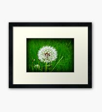 Fluffy Framed Print