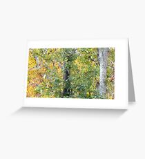 Foilage Greeting Card
