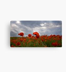 Poppy Field Canvas Print