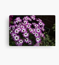 SENETTI Leinwanddruck