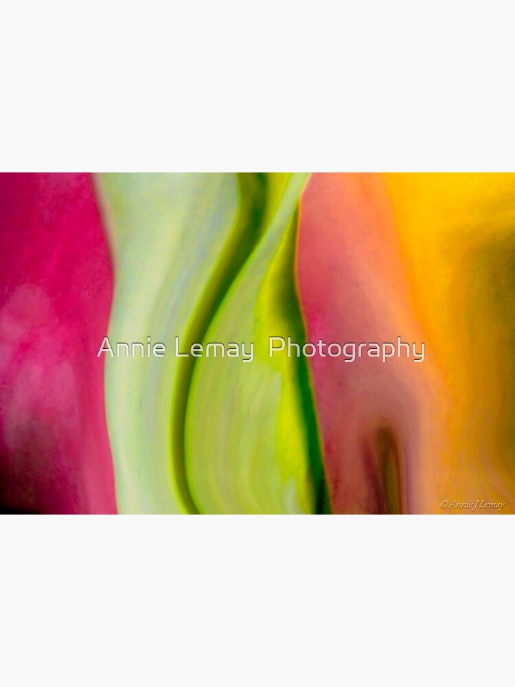 Raeleen's Abstract by ajlphotography