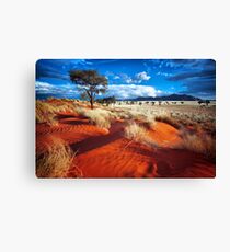 Dancing Grasses on the Red, Red Earth Canvas Print