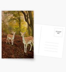 Two Little Deers Postcards