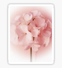 Softness Sticker