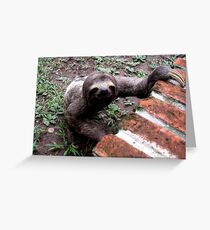 Just Slothing Around Grußkarte