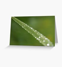 Gegenwart Greeting Card