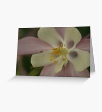 Pastell Greeting Card