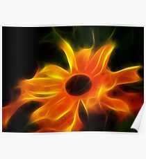Solar Flares: Poster