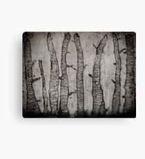 Winter Wood Canvas Print