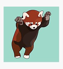 Red Panda Excited Photographic Print
