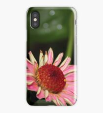 Fallen Zinnia iPhone Case