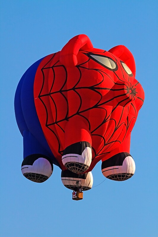 spider pig rc