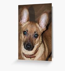 The Green Eyed Monster Greeting Card