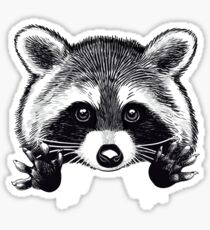 Little raccoon buddy Sticker