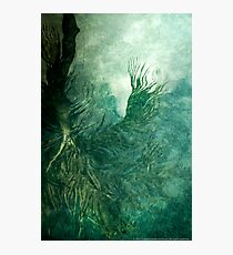 Dream Deep Photographic Print