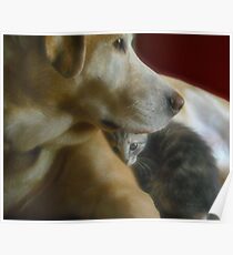 True Friendship Poster