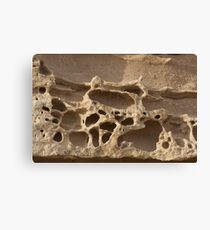 Tracery Canvas Print