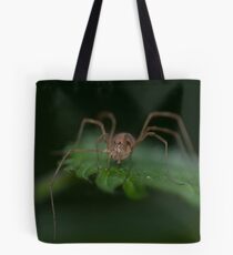 Spider Tote Bag