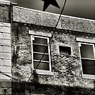 Star Spangled House by Amy E. McCormick