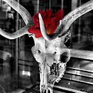 Rose Headed by Amy E. McCormick