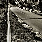 The Road Home by Amy E. McCormick