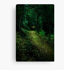 Enchanted Forest Canvas Print