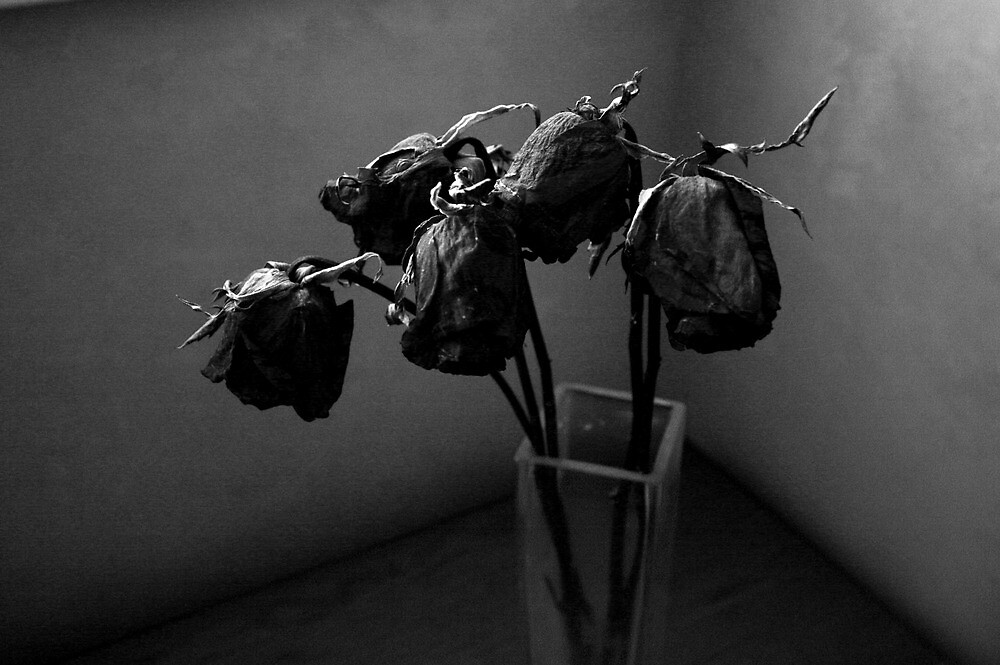 “Black Roses in a Vase " by ISOsickofboring | Redbubble