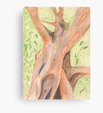 Cinnamon Tree Canvas Print