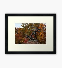 Gettysburg National Park - Mississippi Memorial Framed Print