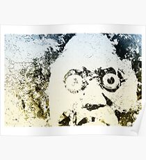 The Wabash River Man Poster