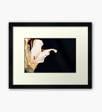 Delicate Framed Print