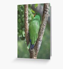 Birdie Greeting Card
