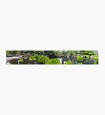 Fitzroy Garden Pond Photographic Print