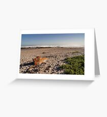 Nature Wins Greeting Card